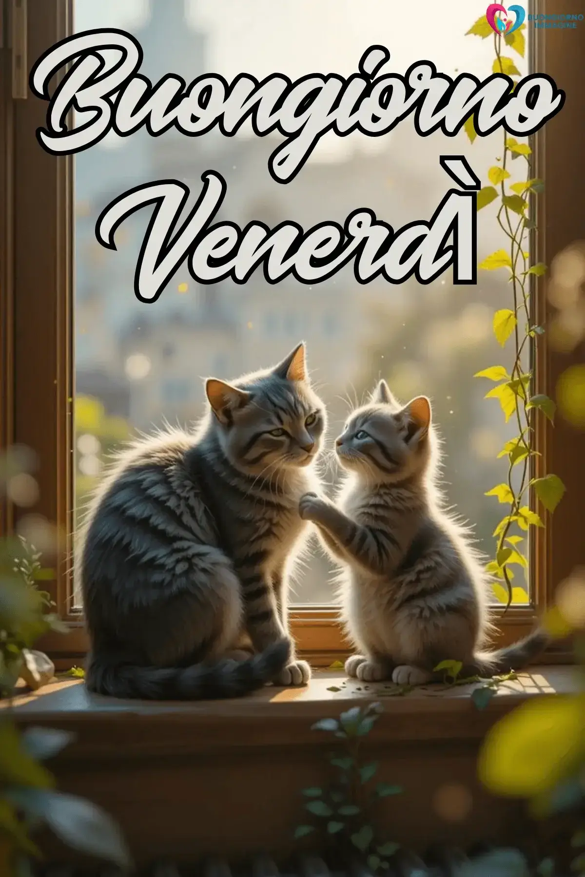 immagini buongiorno venerdì semplici e belle