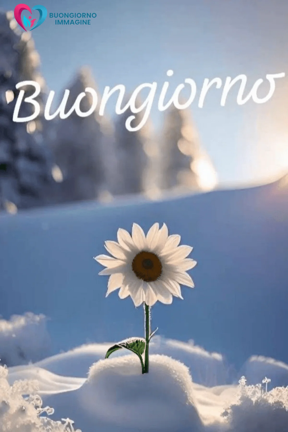 immagini buongiorno nuovissimi gratis immagini di Natale felici per famiglia