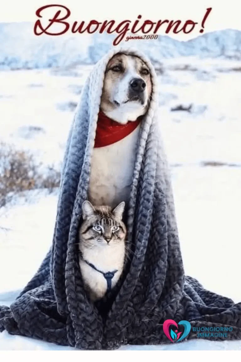 immagini inverno accoglienti da condividere