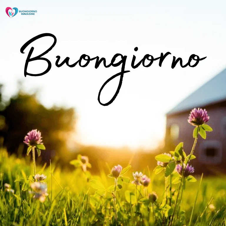 nuovissimo buongiorno immagini recenti