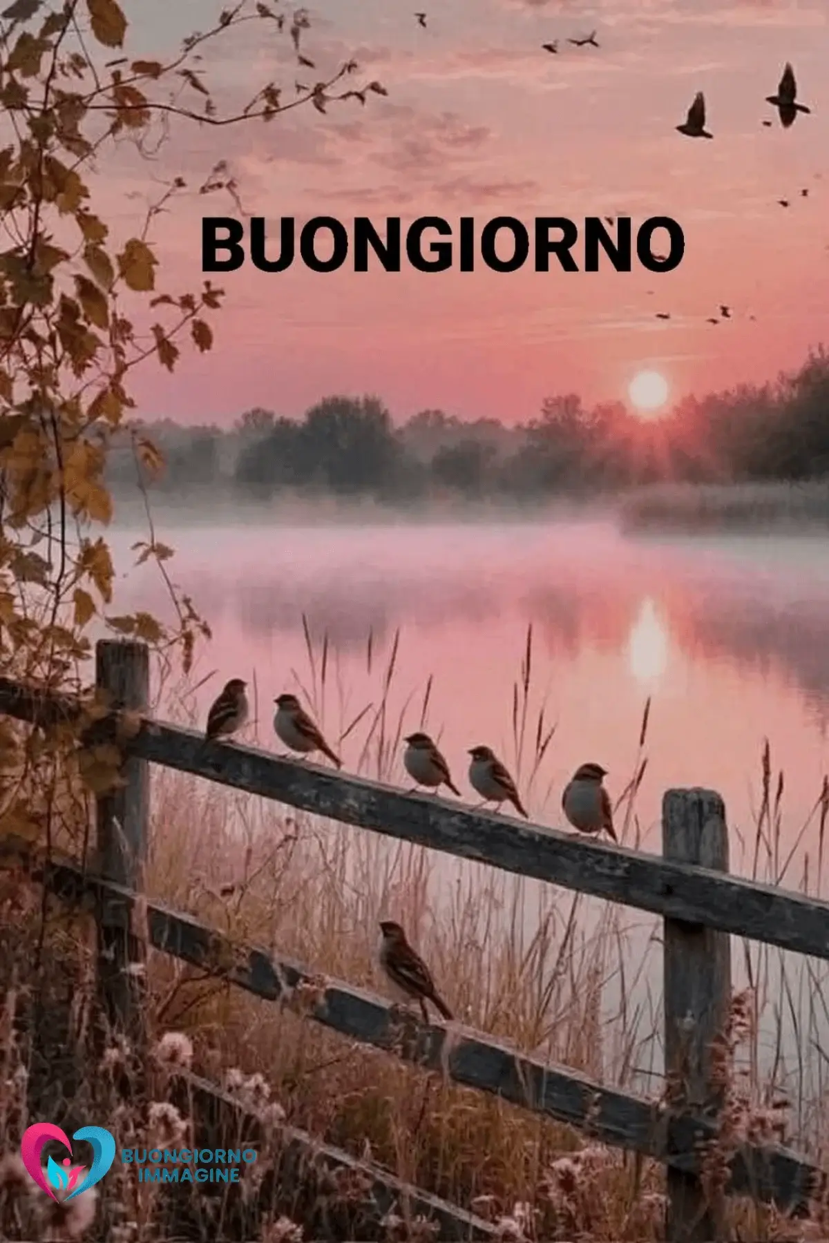 buongiorno bellissime whatsapp Tramonto rosa con uccelli e staccionata buon gior