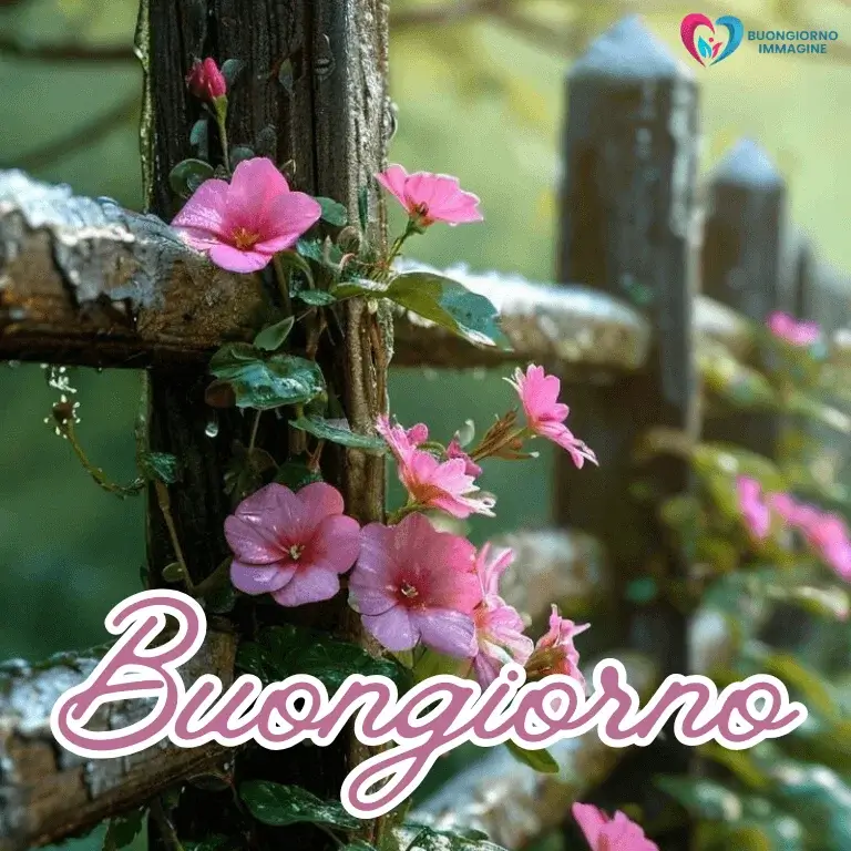 buongiorno gratis per whatsapp con sorriso mattutino