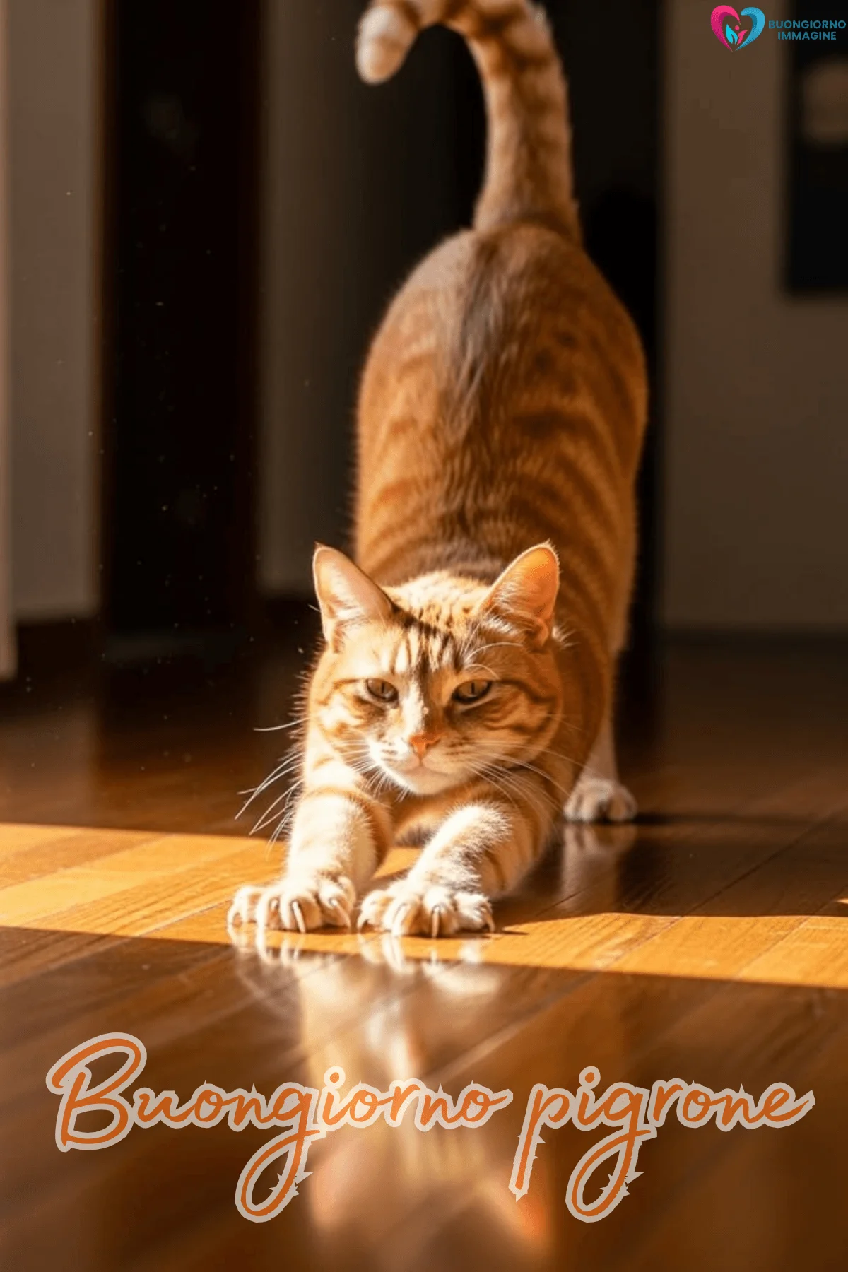 Buongiorno con gatto arancione che si stiracchia
