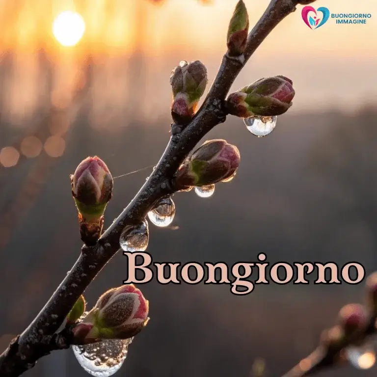 buongiorno gratis per whatsapp con sorriso mattutino