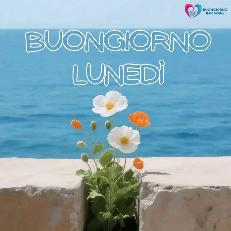 buon giorno immagini nuove con sorriso mattutino