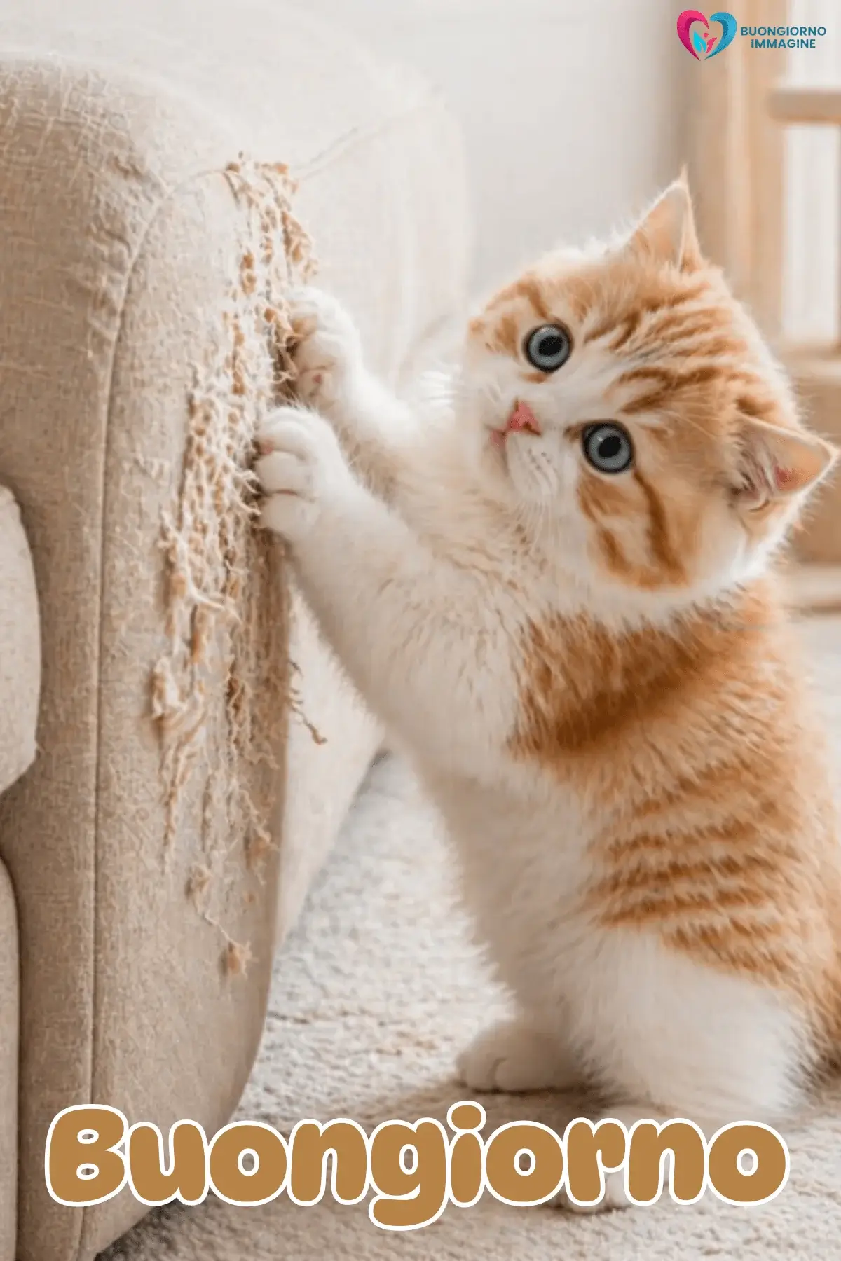 Buongiorno con gattino rosso che graffia