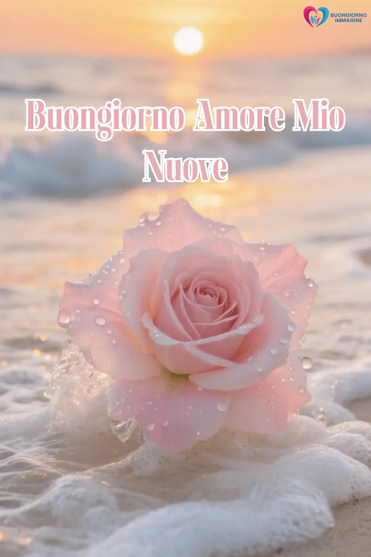Immagini buongiorno con rosa sulla sabbia