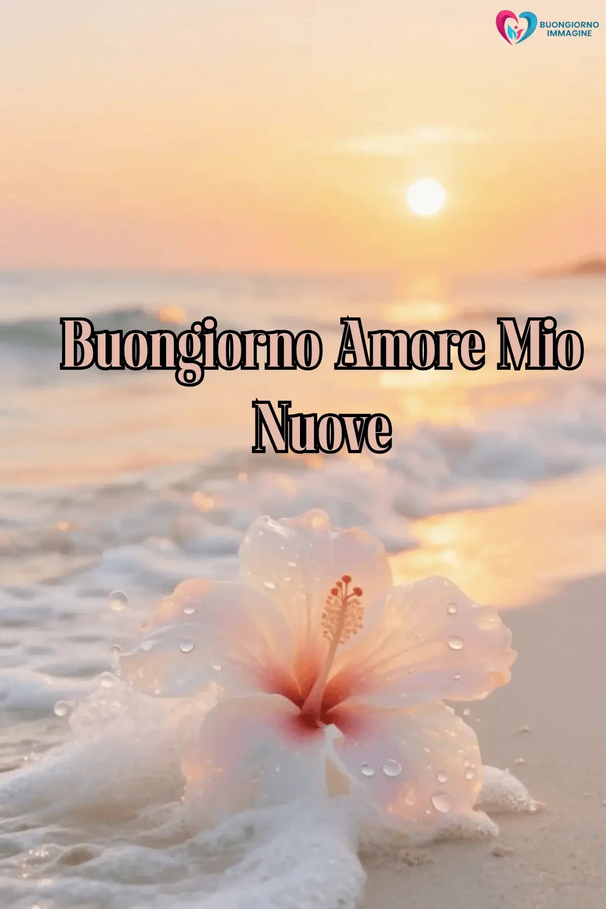 Buongiorno tropicale con ibisco al tramonto