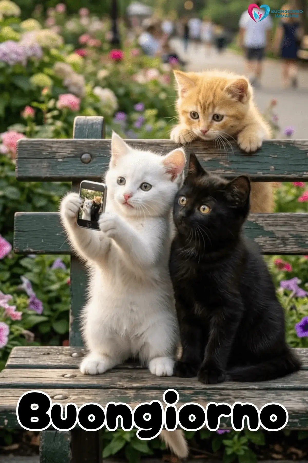 Immagini buongiorno tre gattini colorati