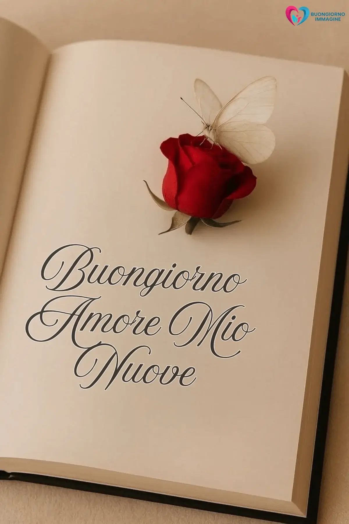Immagini buongiorno romantiche con rosa rossa