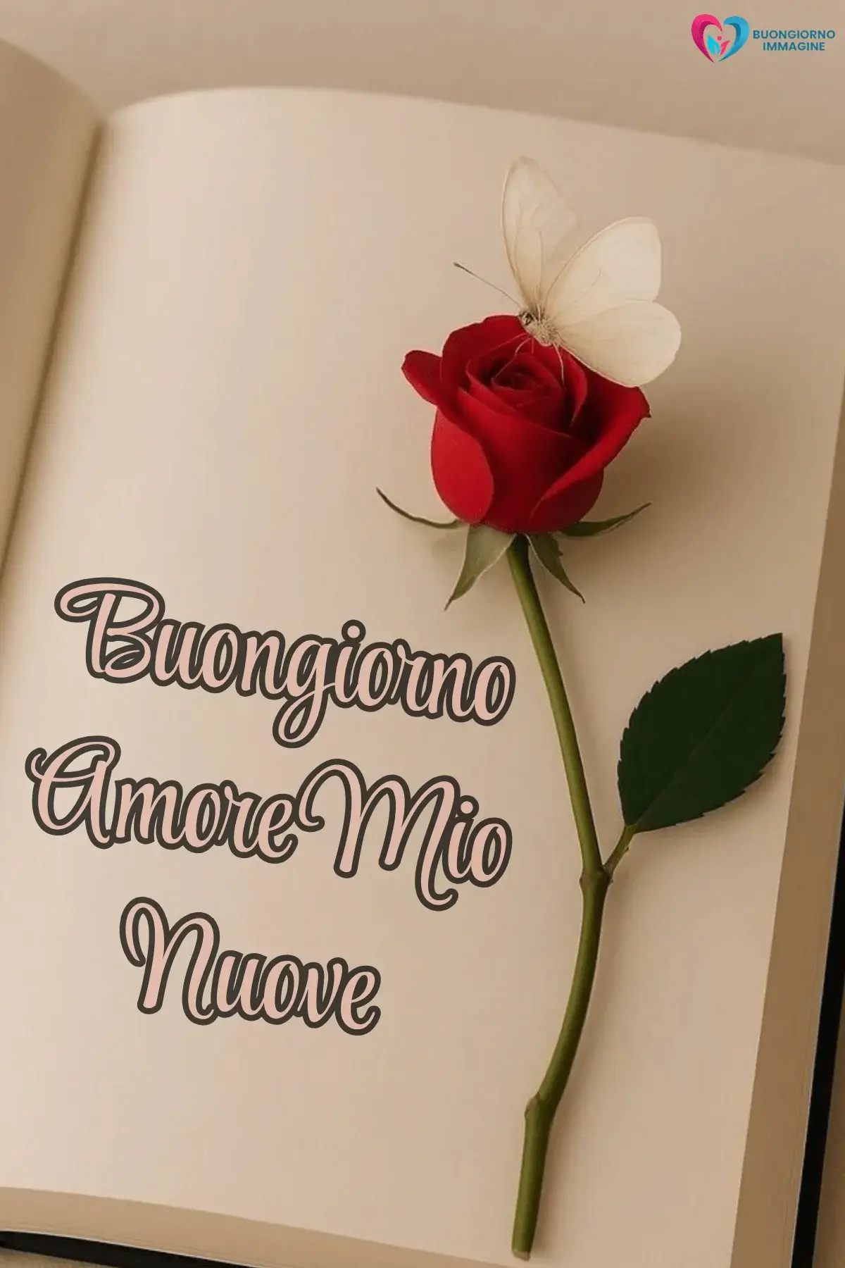 Immagini buongiorno con fiori e nastro dorato