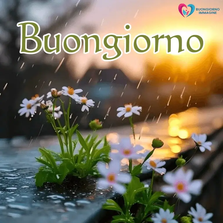 buongiorno gratis per whatsapp con sorriso mattutino