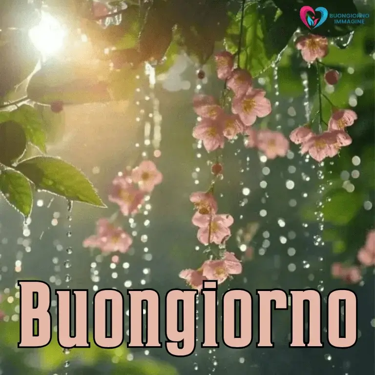 buongiorno gratis per whatsapp 'acqua
