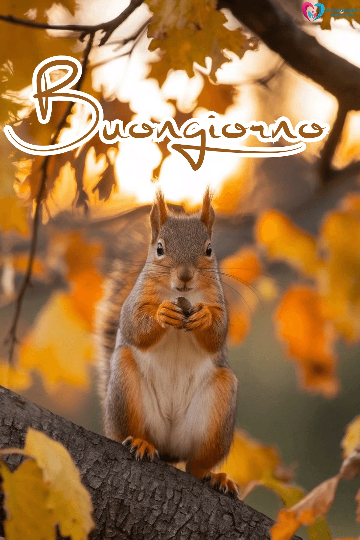 Buongiorno con scoiattolo in autunno