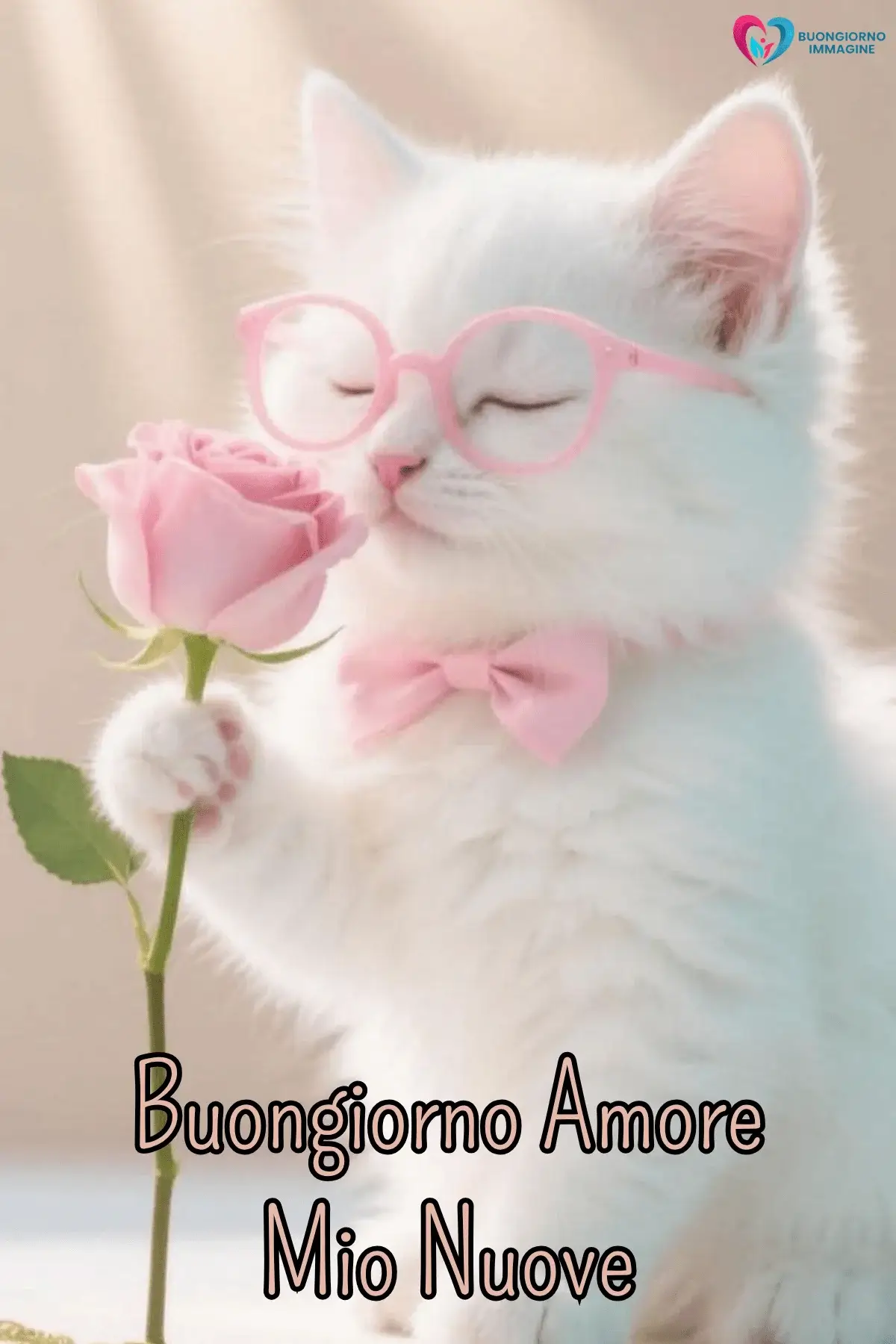 Immagini buongiorno gattino bianco con rosa