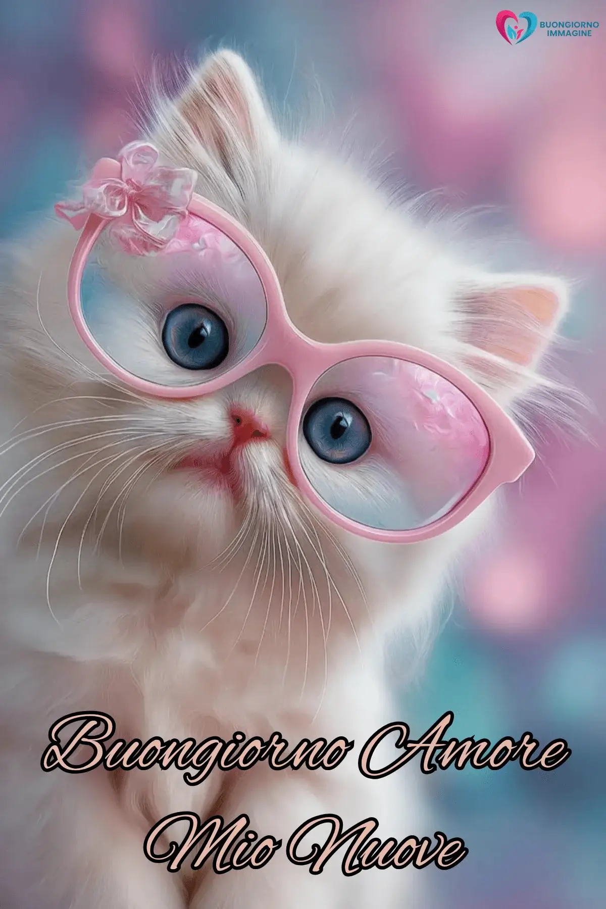 Buongiorno con gattino dolce con occhiali rosa