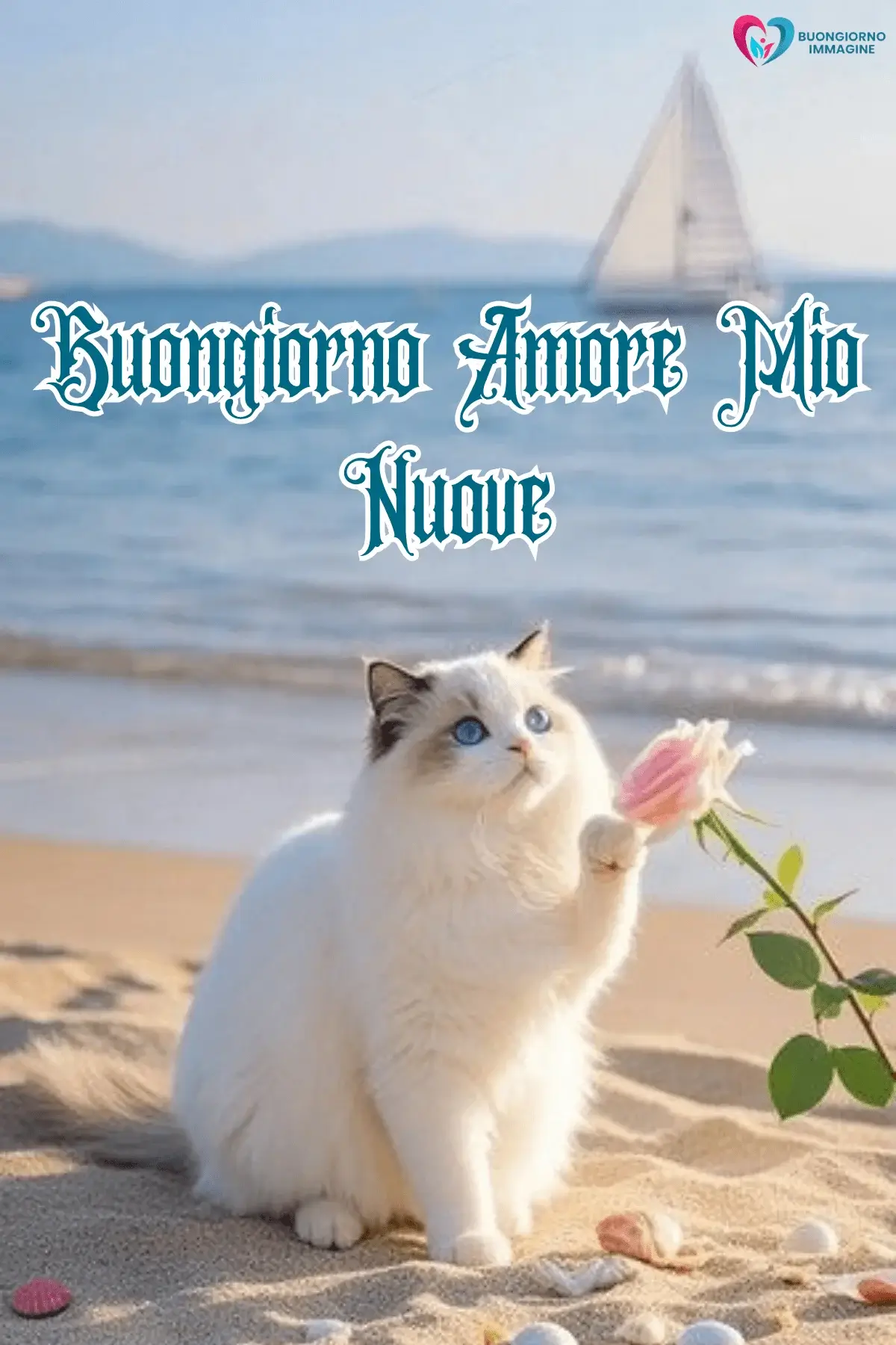 Immagini buongiorno con gatto bianco in riva al mare