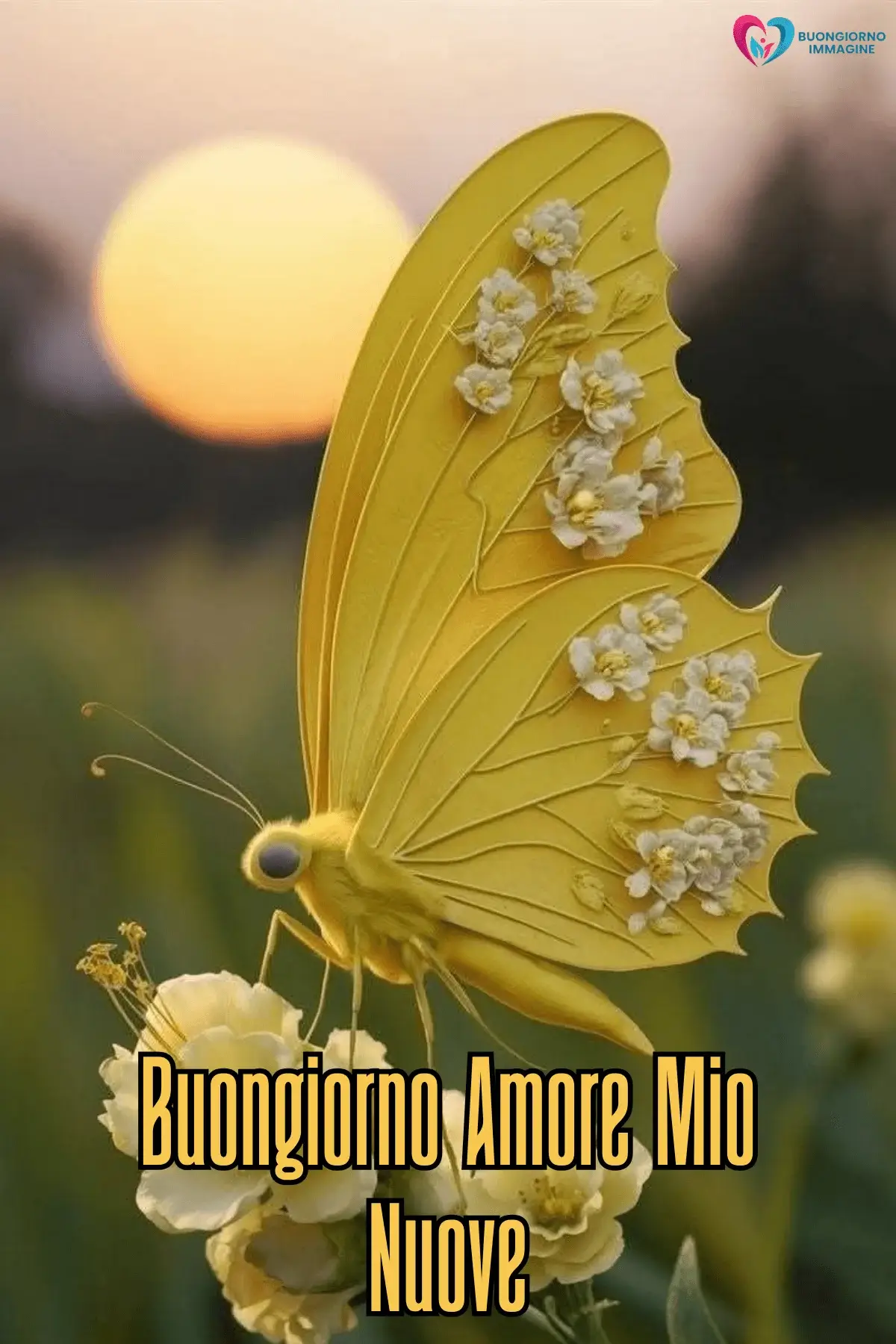 Immagini buongiorno con farfalla dorata al tramonto