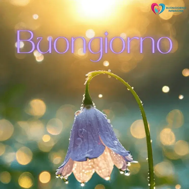 buongiorno gratis per whatsapp con sorriso mattutino