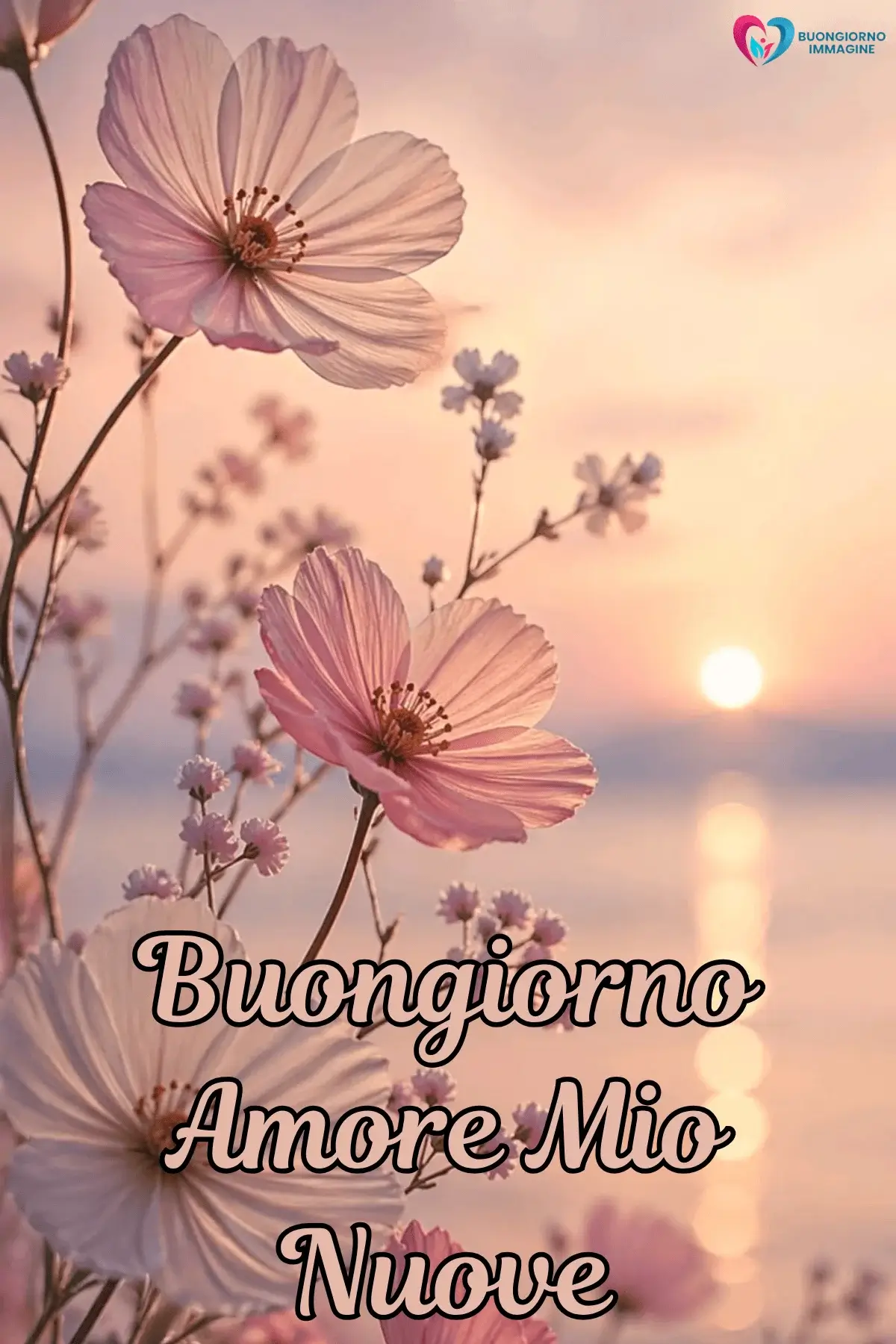 Buongiorno con margherite bianche romantiche