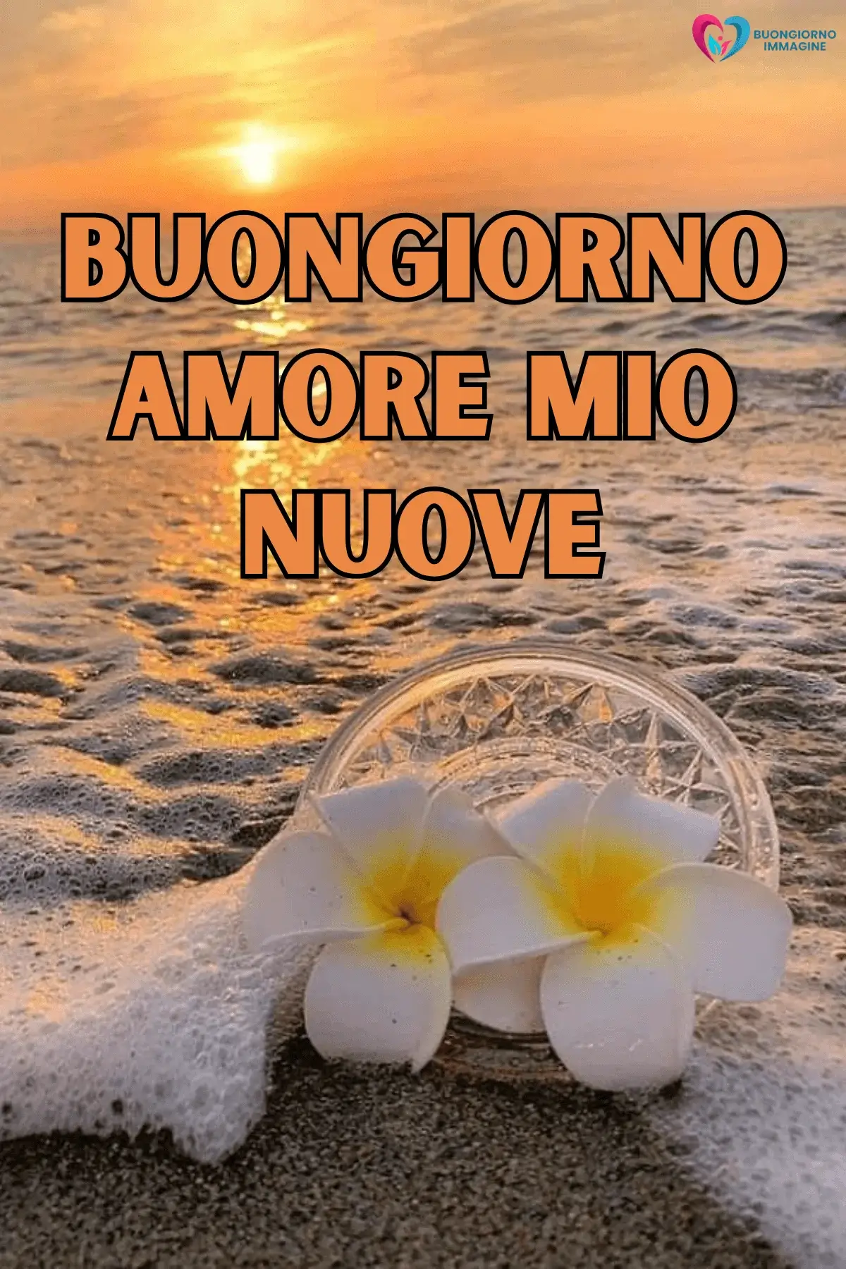 Immagini buongiorno con fiori al tramonto