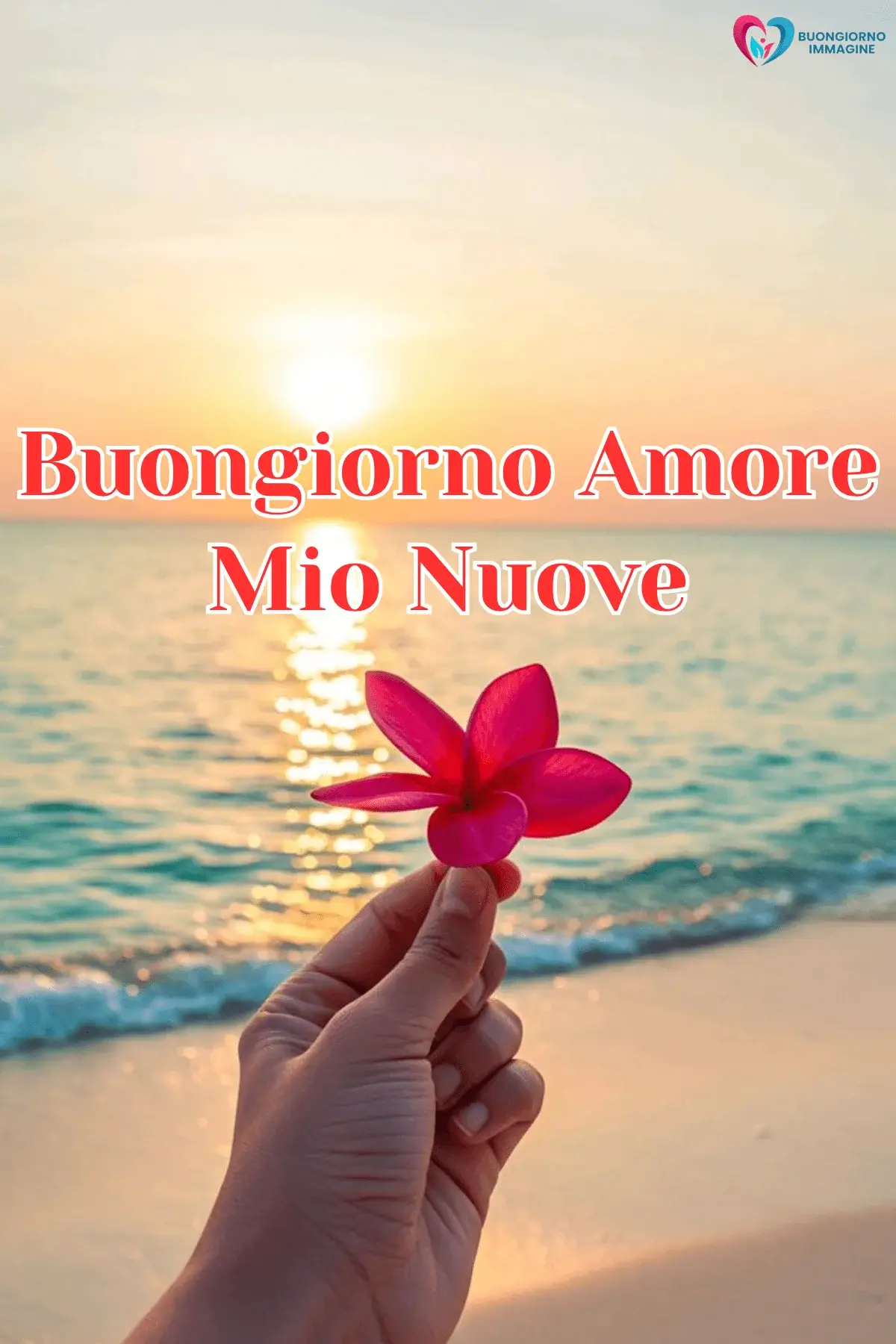 Buongiorno con margherita nel campo fiorito