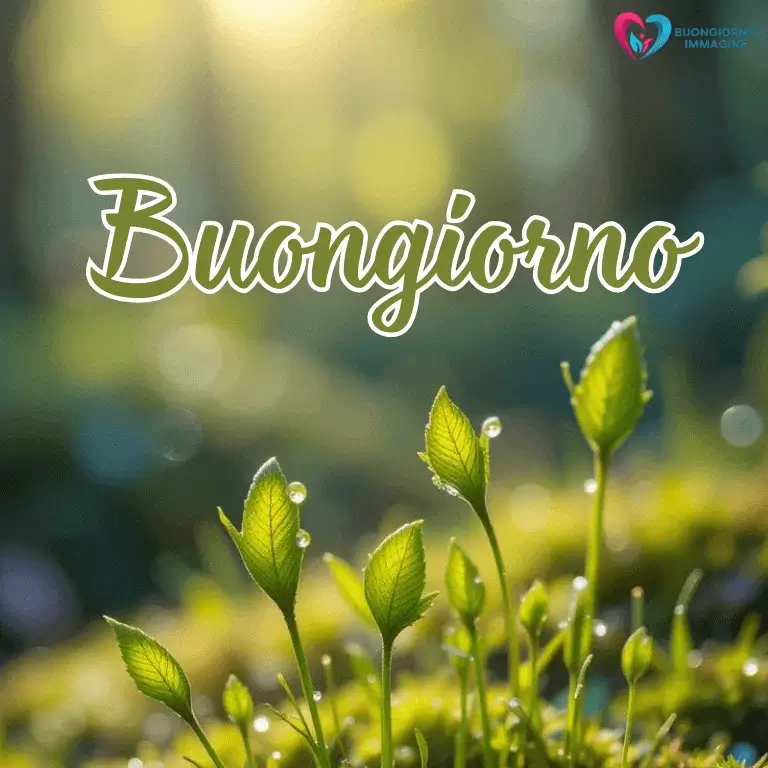 buongiorno gratis per whatsapp con sorriso mattutino