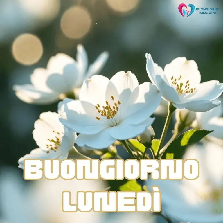 buon giorno immagini nuove con sorriso mattutino