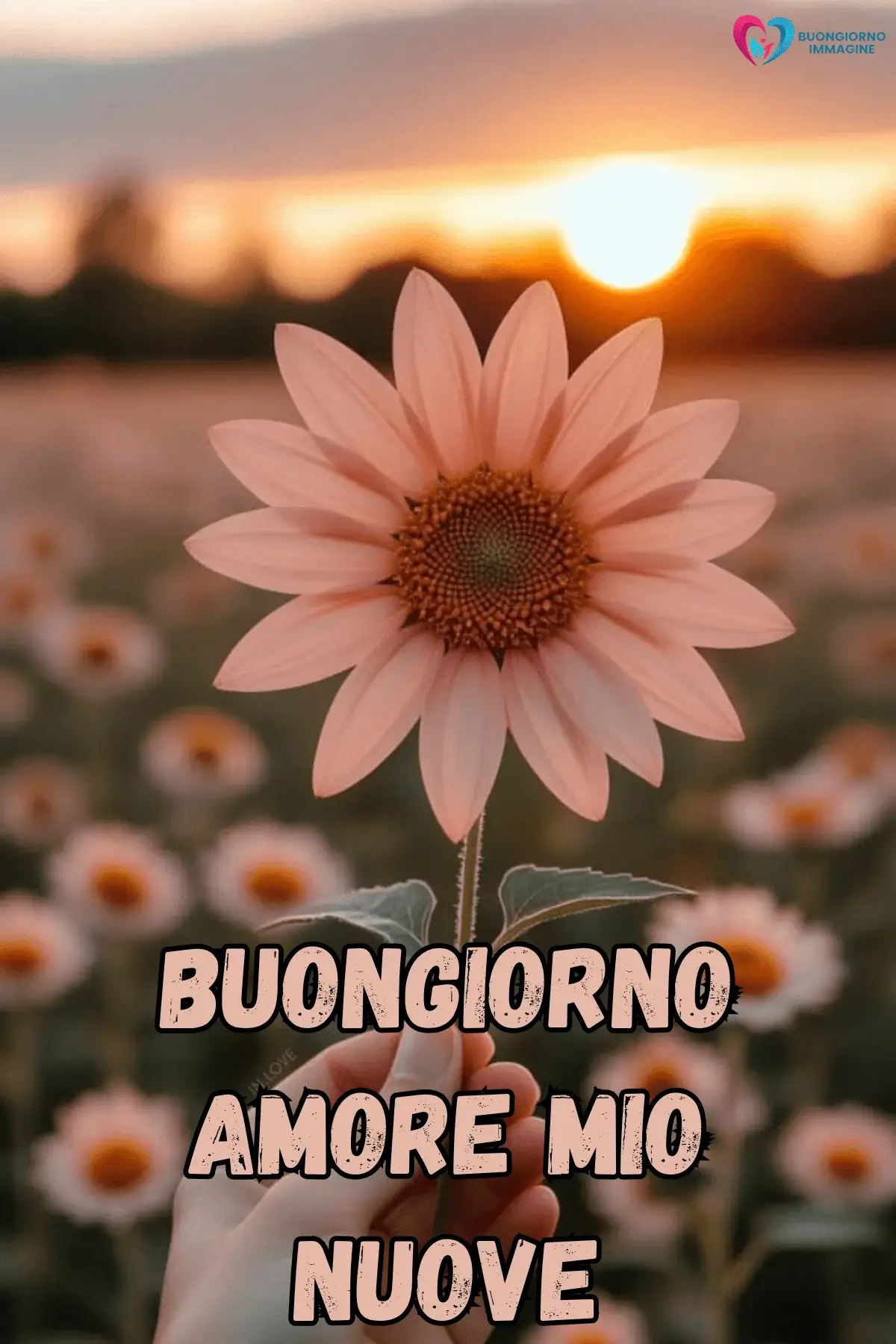 Buongiorno dolce con gatto tra i fiori