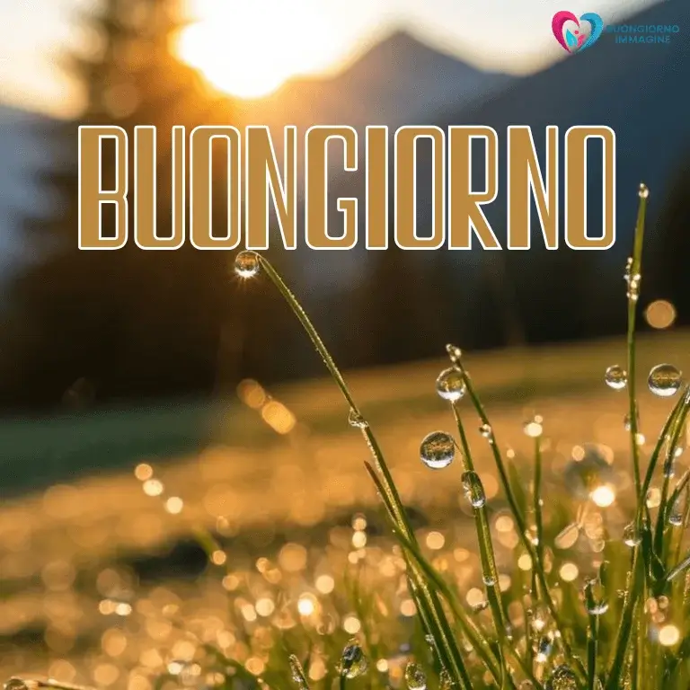buon giorno immagini nuove con sorriso mattutino