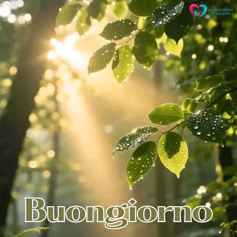 buon giorno immagini nuove con sorriso mattutino
