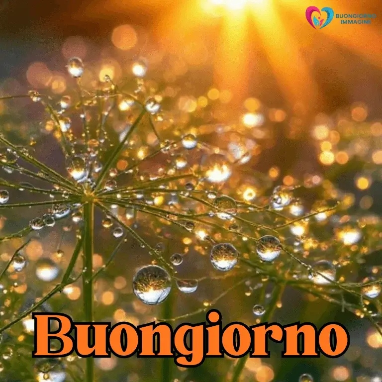 buon giorno immagini nuove con sorriso mattutino
