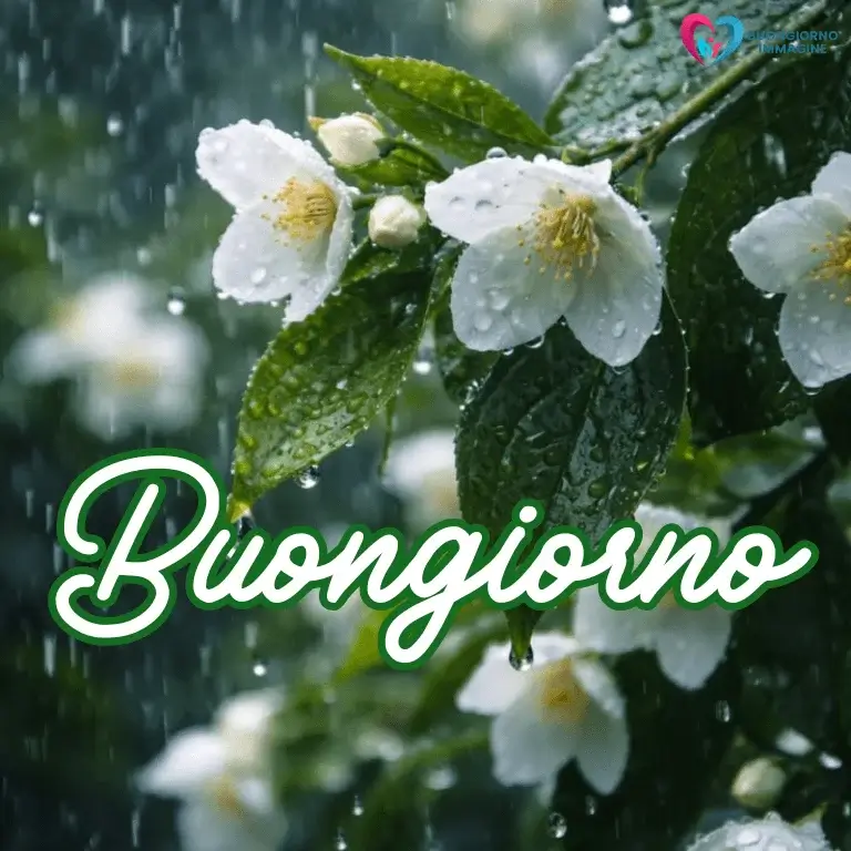 buongiorno gratis per whatsapp con sorriso mattutino