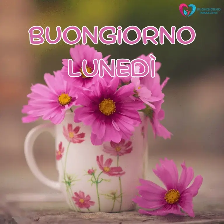 buon giorno immagini nuove con sorriso mattutino