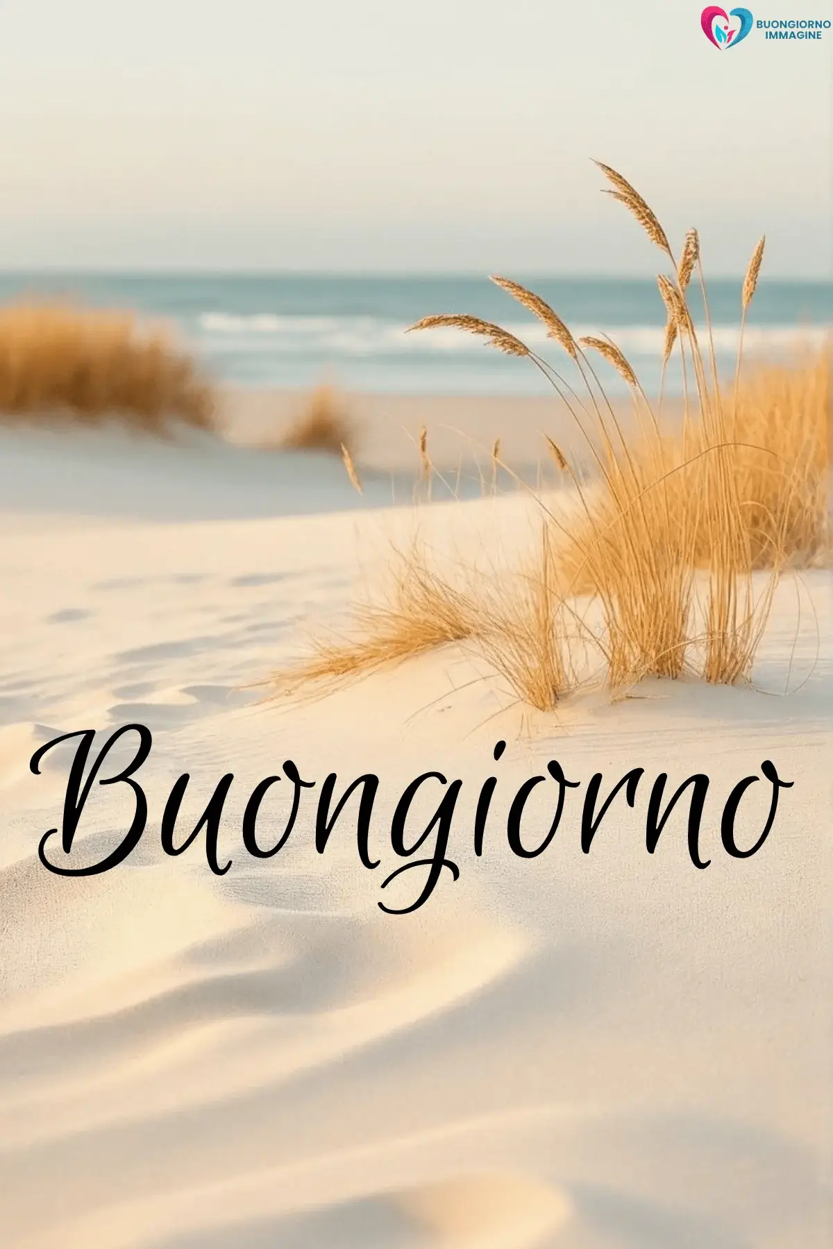 Spiaggia al tramonto con erba secca in primo piano e onde sullo sfondo — buongiornoimmagine.it