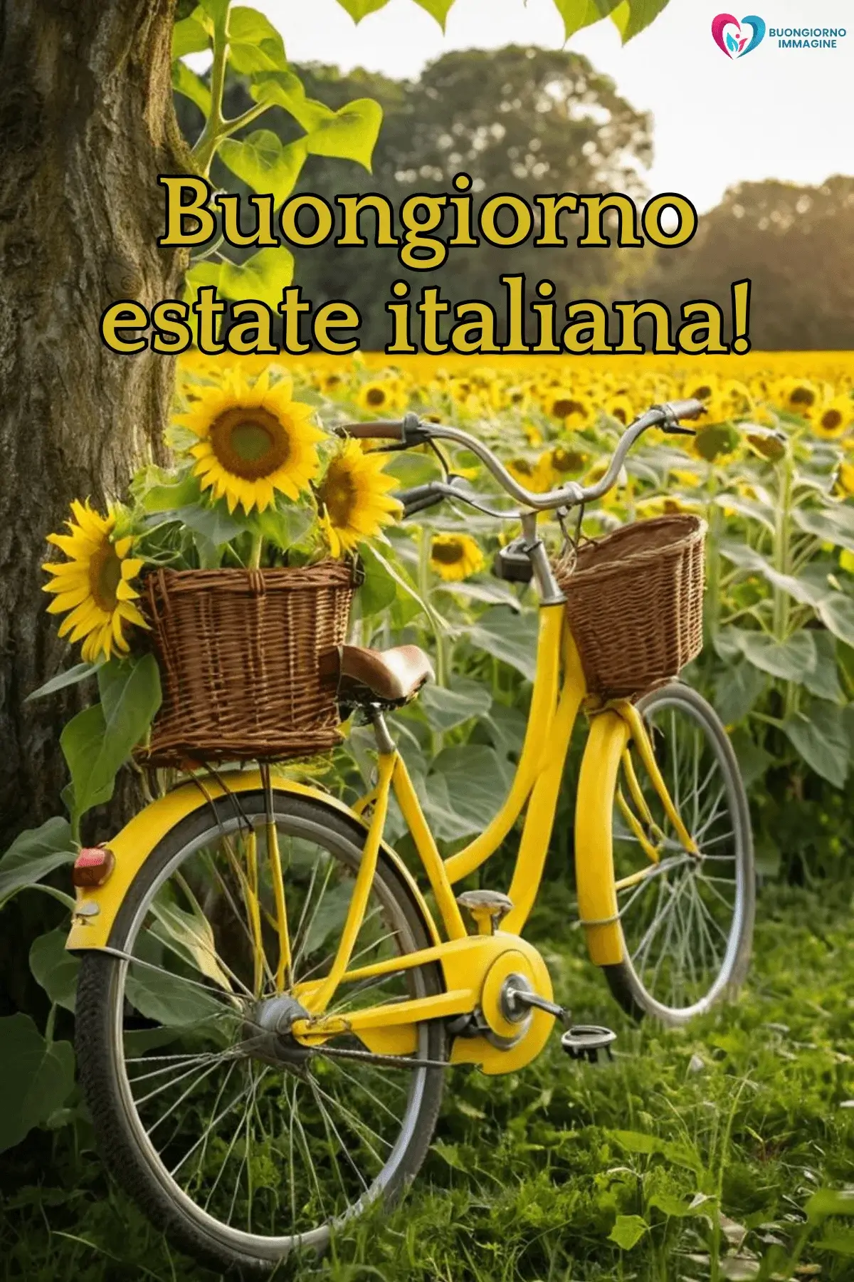 buongiorno estate sereno bicicletta gialla girasoli cesto natura