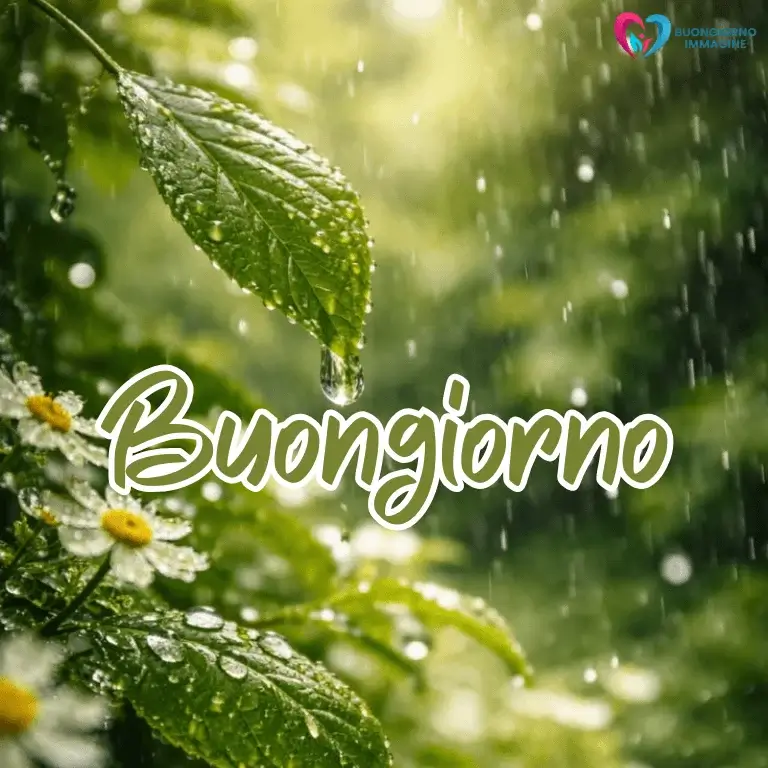buongiorno gratis per whatsapp con sorriso mattutino