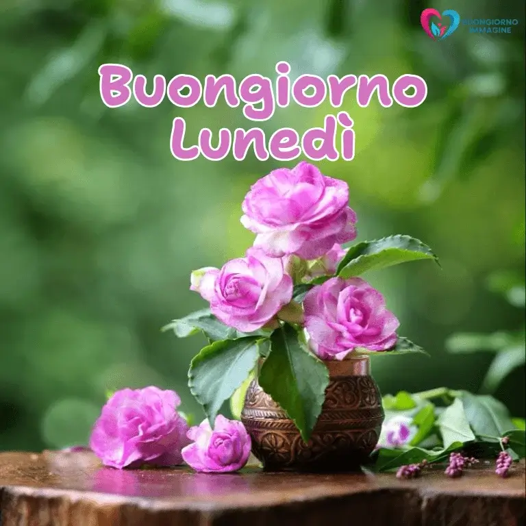 buon giorno immagini nuove con sorriso mattutino