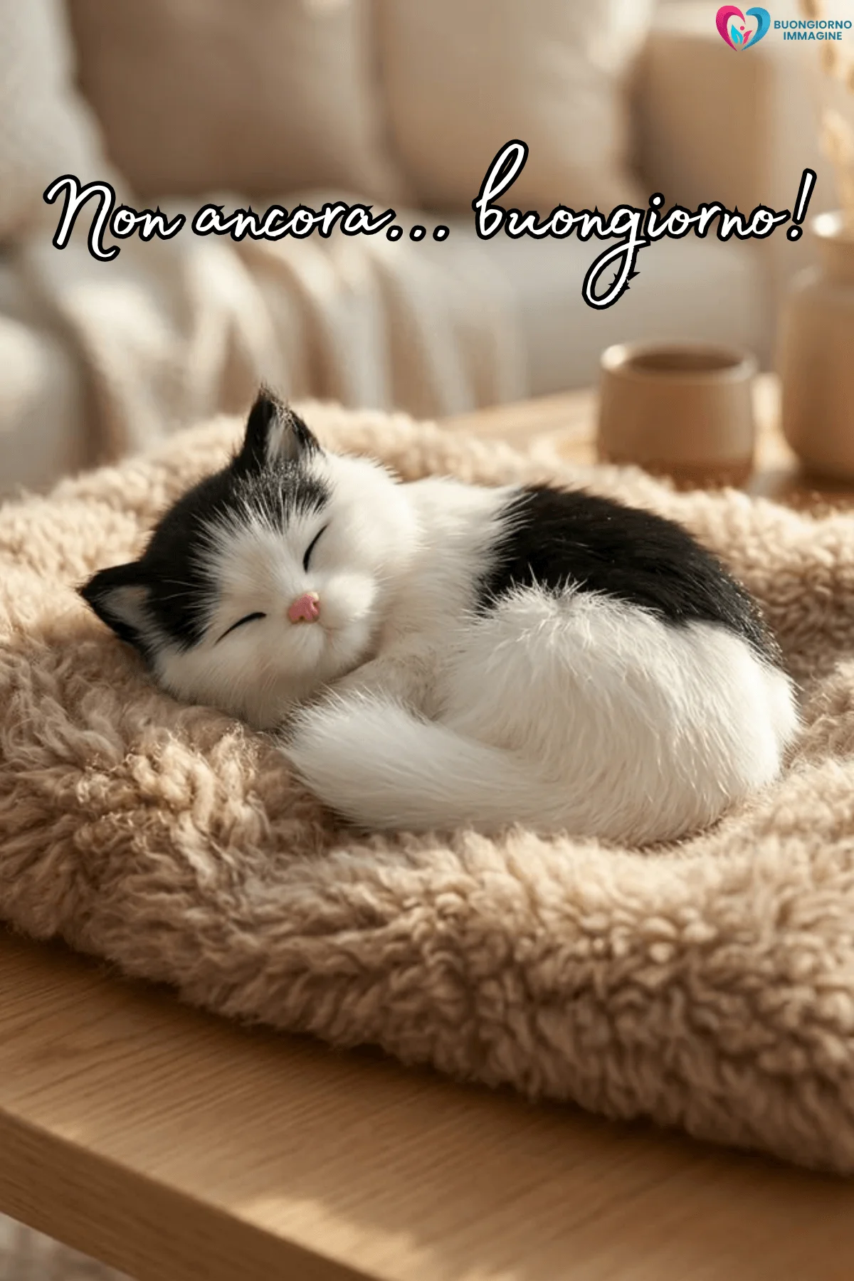 Buongiorno con gattino che dorme su coperta