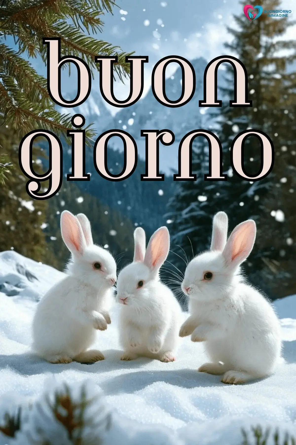 buongiorno invernale nuovissime con sorriso mattutino