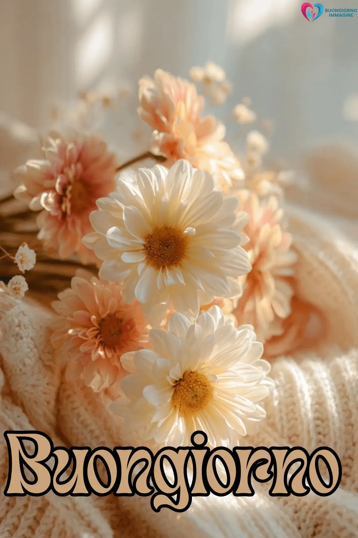 Bouquet di margherite bianche e fiori pesca su stoffa beige, immagini buongiorno gratis