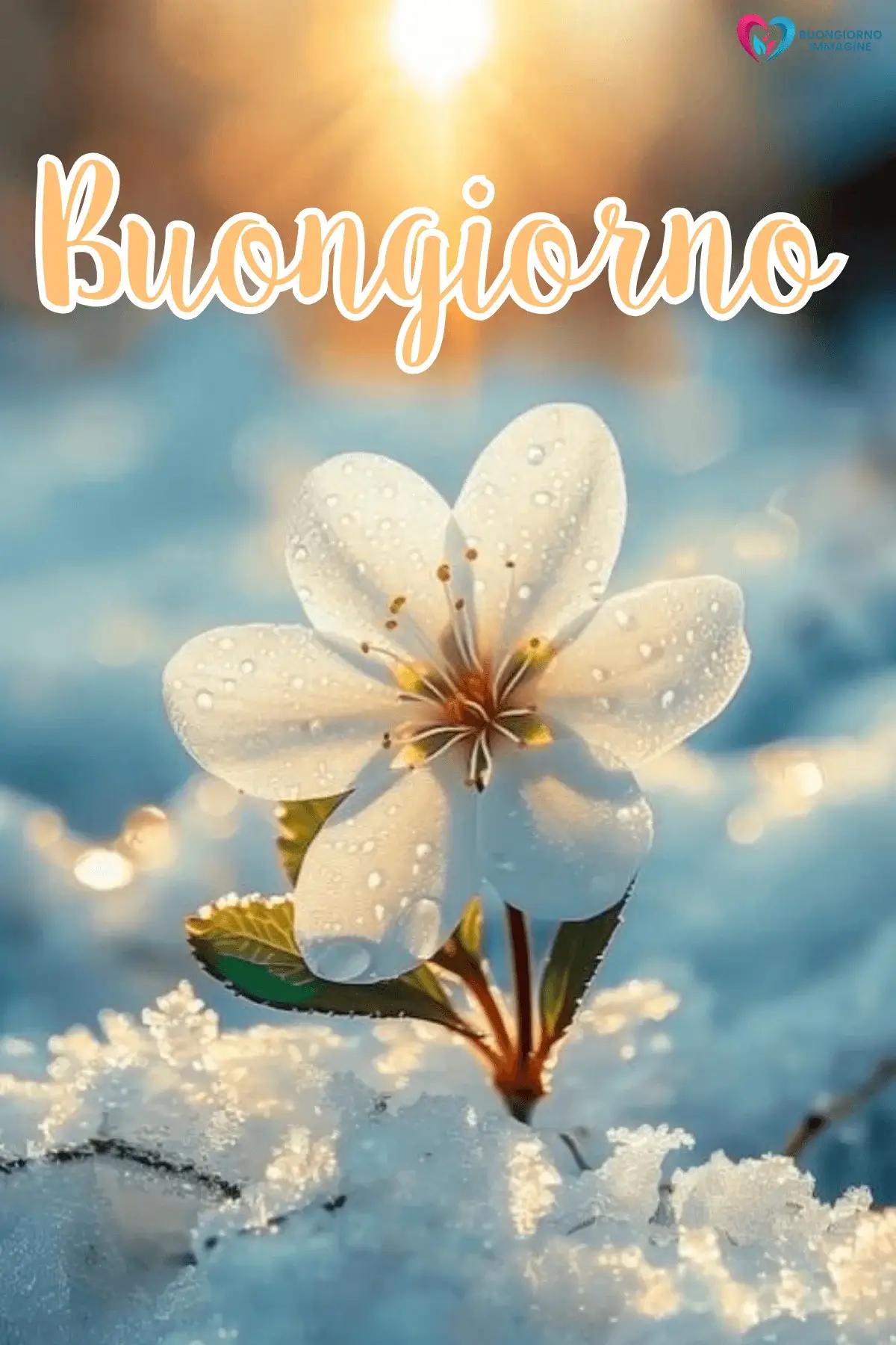 buongiorno invernale nuovissime con sorriso mattutino