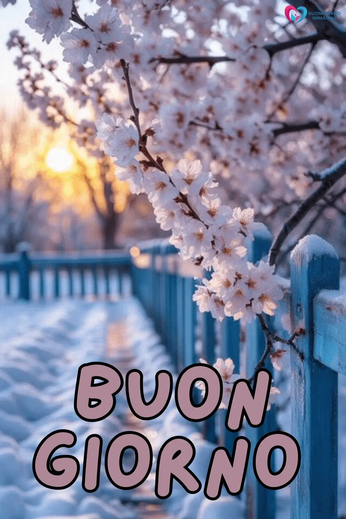 buongiorno invernale nuovissime con sorriso mattutino