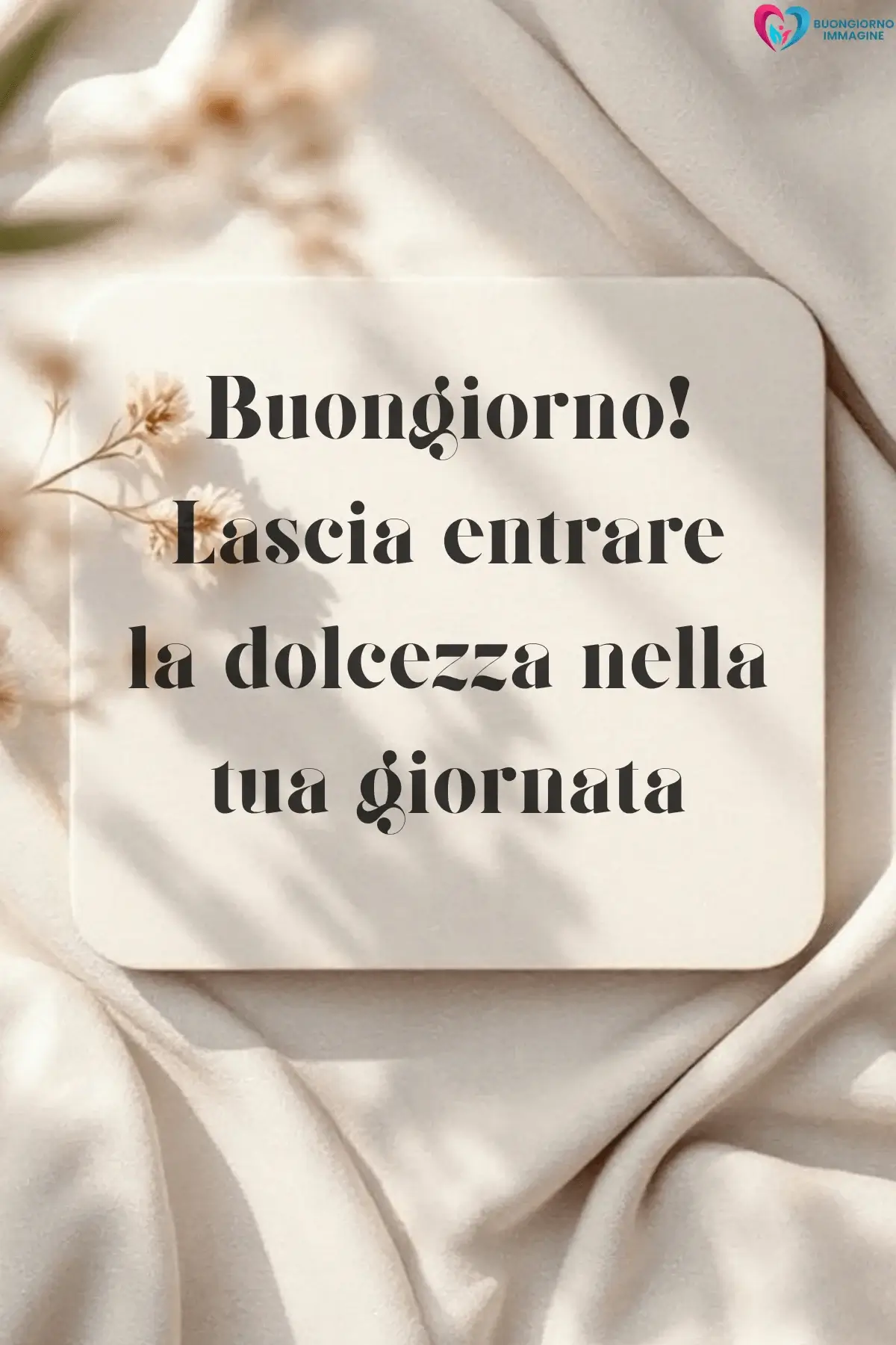buongiorno frasi simpatiche originali con gatto assonnato e cuscini
