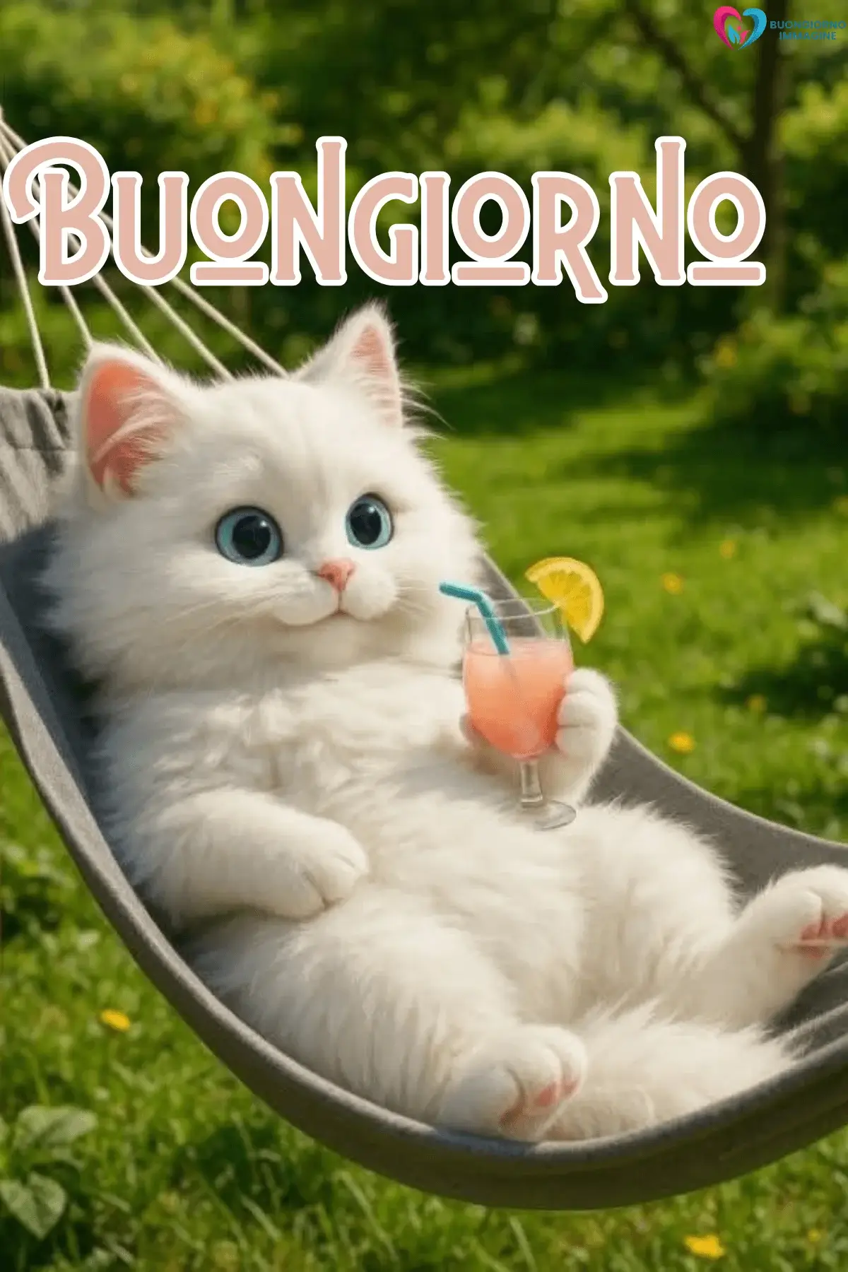 Gatto bianco rilassato in amaca con drink tropicale al tramonto — buongiornoimmagine.it
