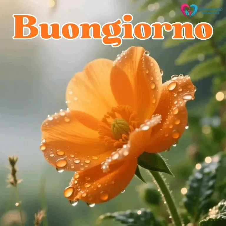 buongiorno gratis per whatsapp con sorriso mattutino