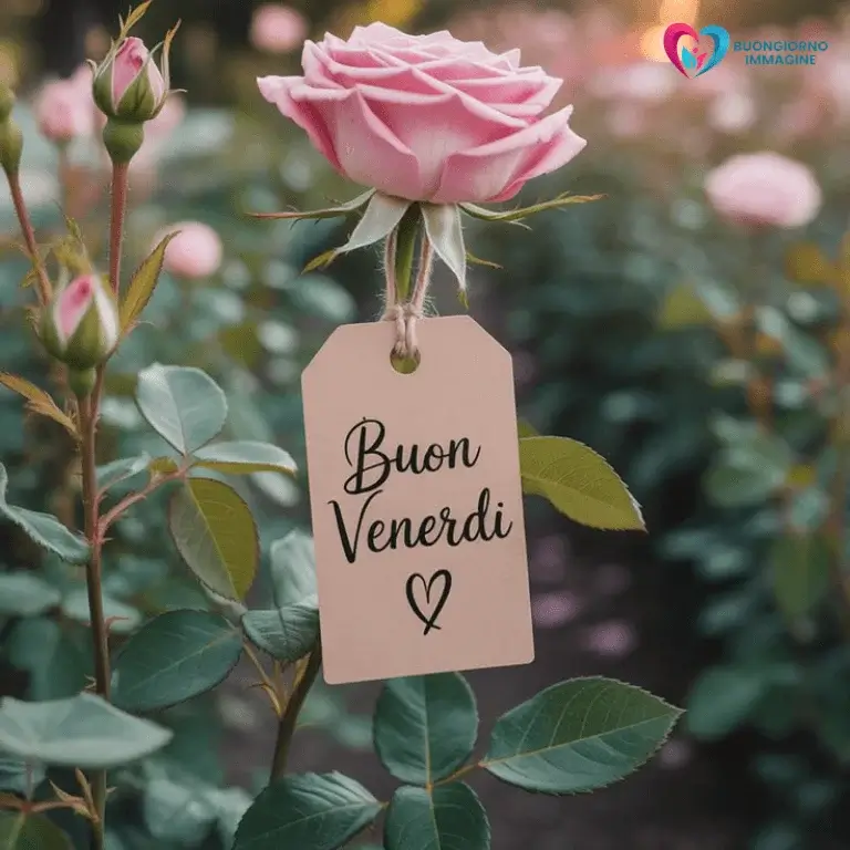buongiorno bellissime whatsapp con sorriso mattutino