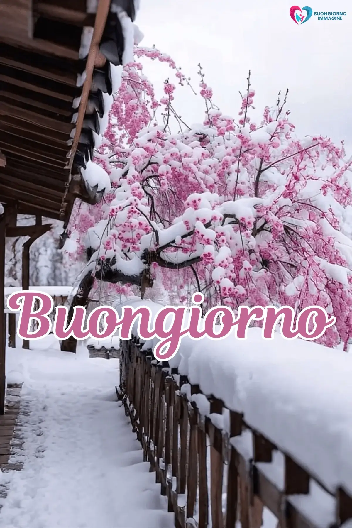 buongiorno invernale accogliente con sorriso mattutino