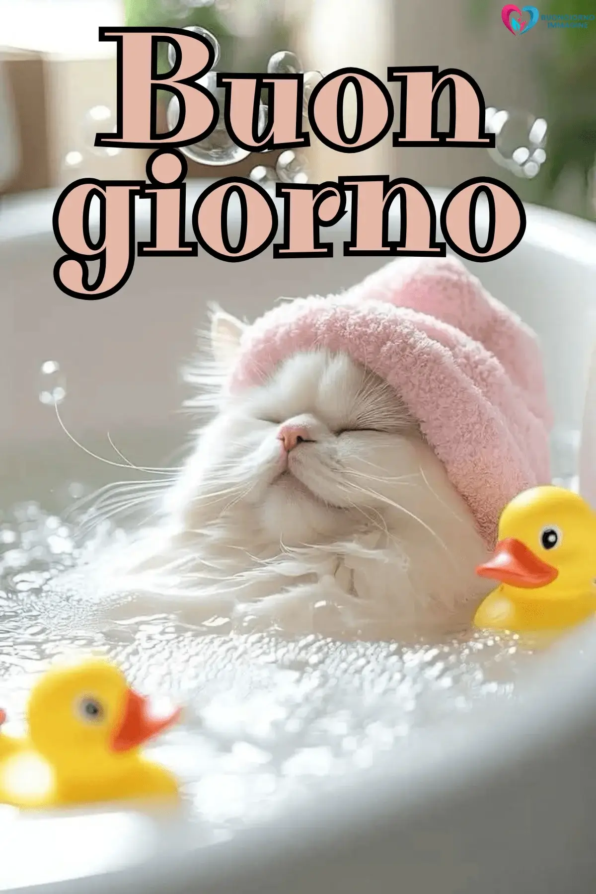 Gattino bianco con berretto rosa che dorme tra paperelle gialle in schiuma — buongiornoimmagine.it