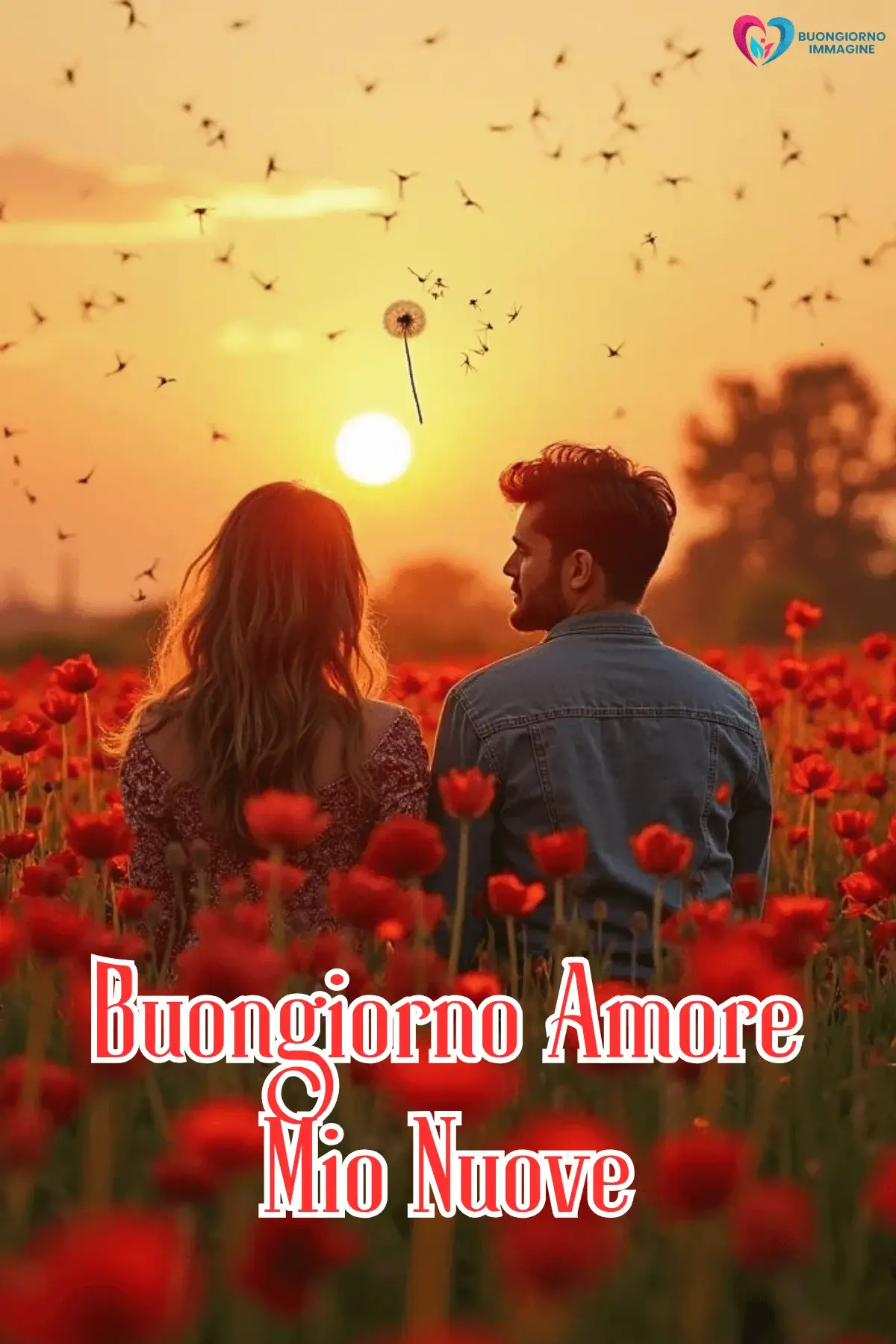 Immagini buongiorno campo papaveri amore